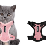 Know How To Choose The Right Cat Harness And Leash For Your Cat